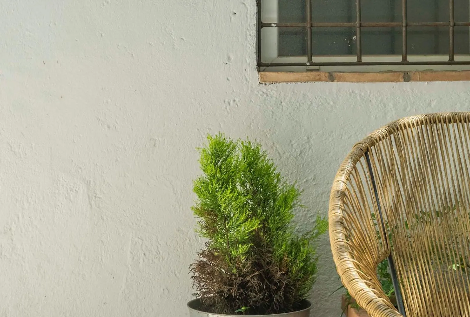Piazza Cavour Zen Garden-Zen36 Apartment Rome